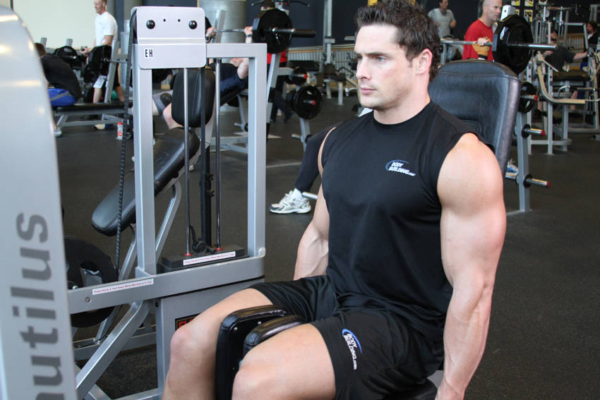 Thigh Adductor, position 2 of 2